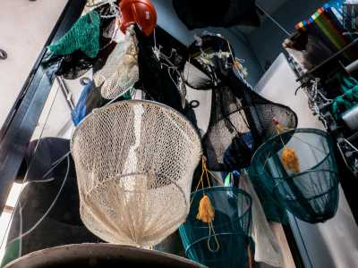 ...� composto da una rete metallica al cui interno vengono inserite le esche: i pesci vengono attirati dal verme ma una volta dentro non riescono pi� a uscire perch� vi rimangono intrappolati� 